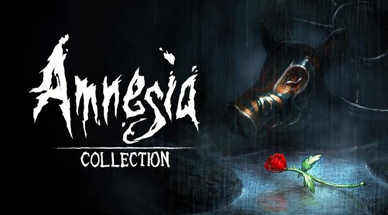 amnesia collection