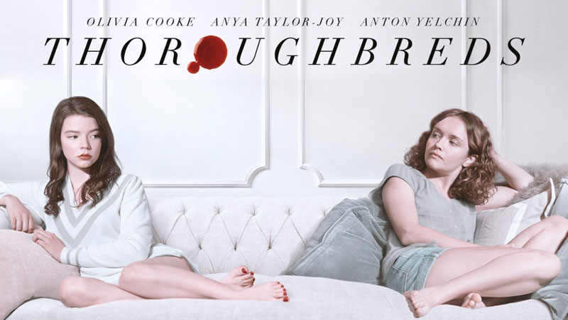 Thoroughbreds