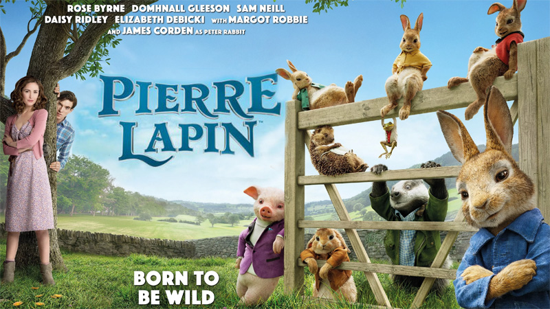 Pierre Lapin