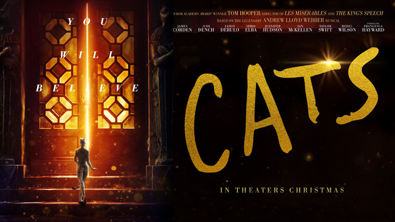 Cats