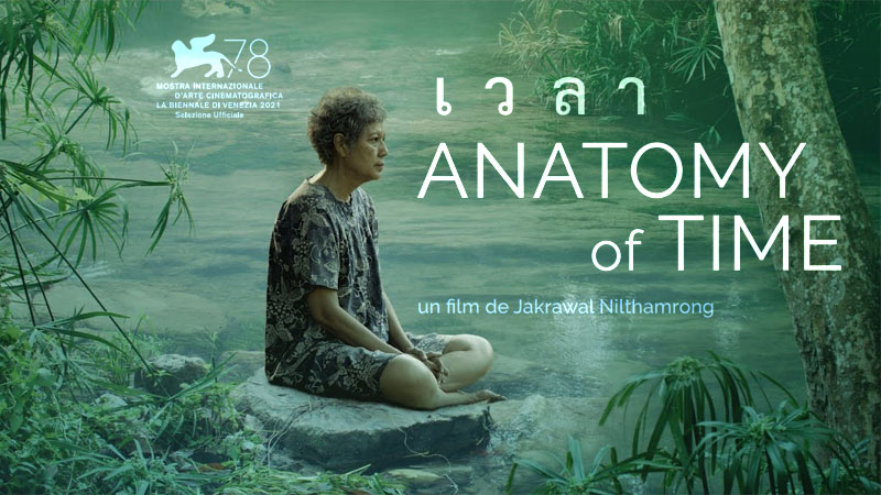Anatomy Of Time