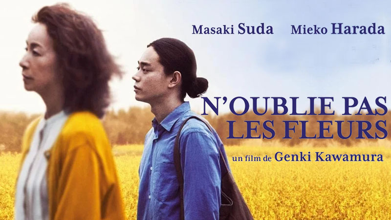 N'oublie Pas Les Fleurs