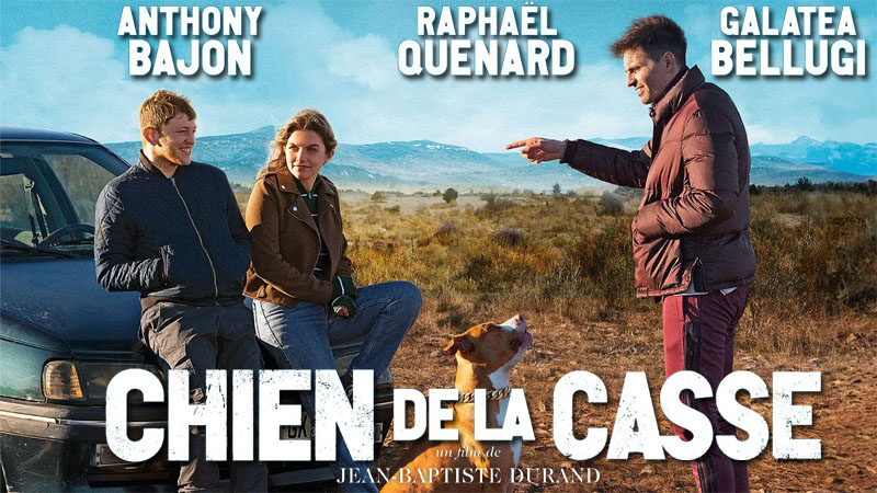 Chien De La Casse