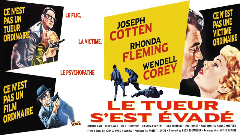Le Tueur S'Est Évadé