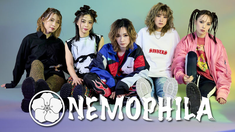 Nemophila - 2024