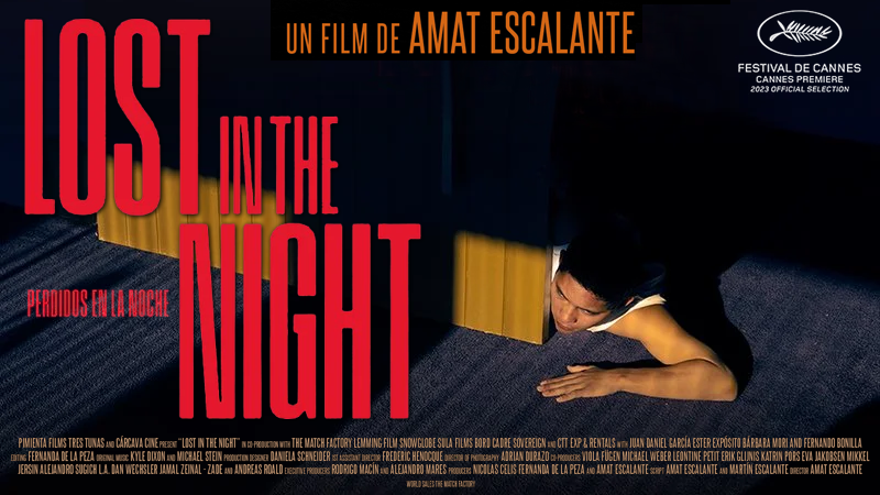 Lost In The Night