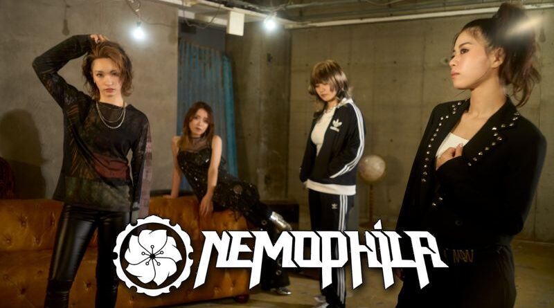 Nemophila - Novembre 2024