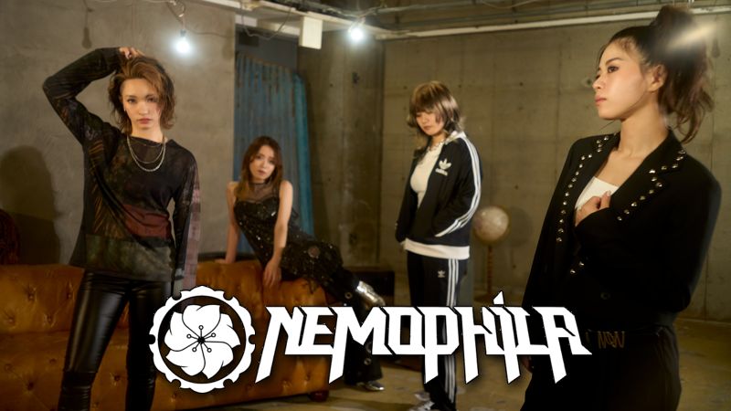 Nemophila - Novembre 2024