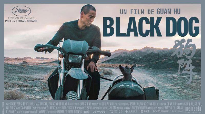 Black Dog