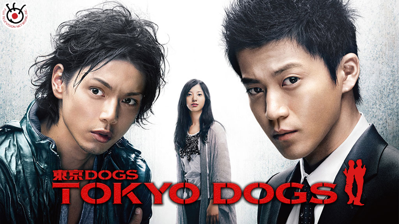 Tokyo Dogs