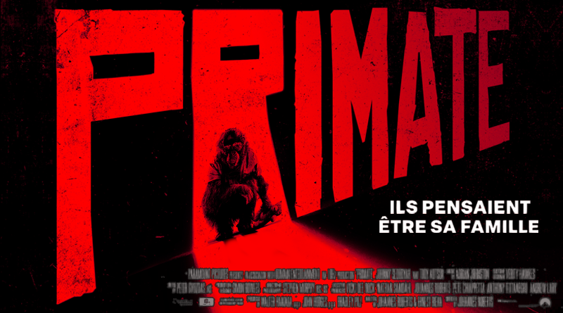 Primate