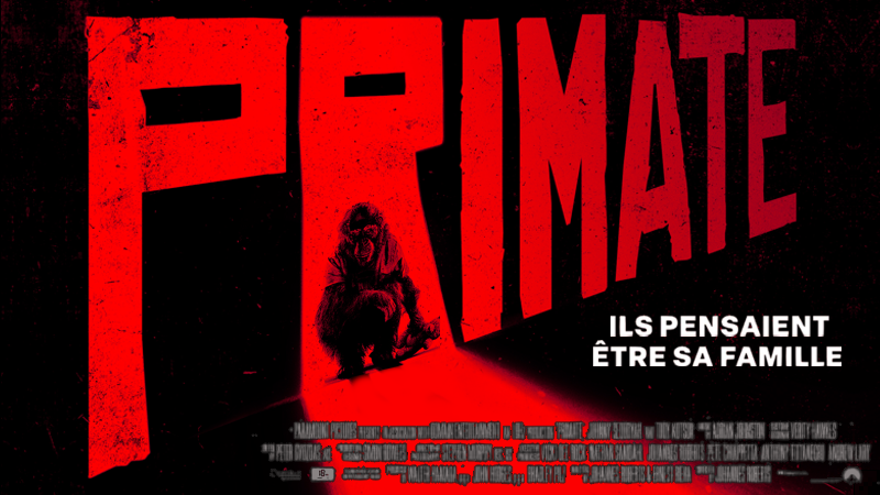 Primate