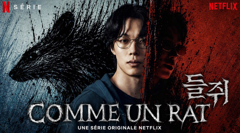 Comme Un Rat