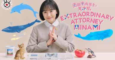Extraordinary Attorney Minami