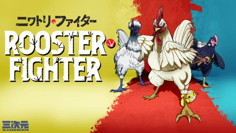 Rooster Fighter